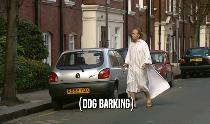 (DOG BARKING)  