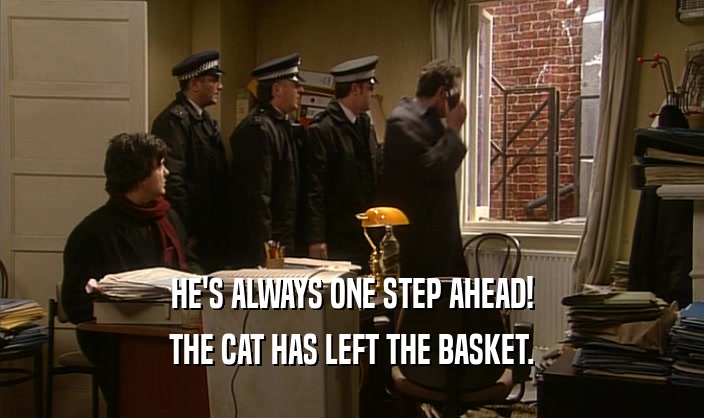 HE'S ALWAYS ONE STEP AHEAD! THE CAT HAS LEFT THE BASKET. 