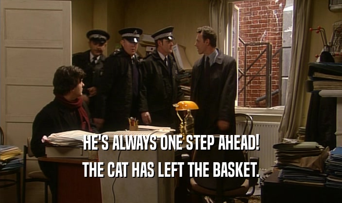 HE'S ALWAYS ONE STEP AHEAD! THE CAT HAS LEFT THE BASKET. 