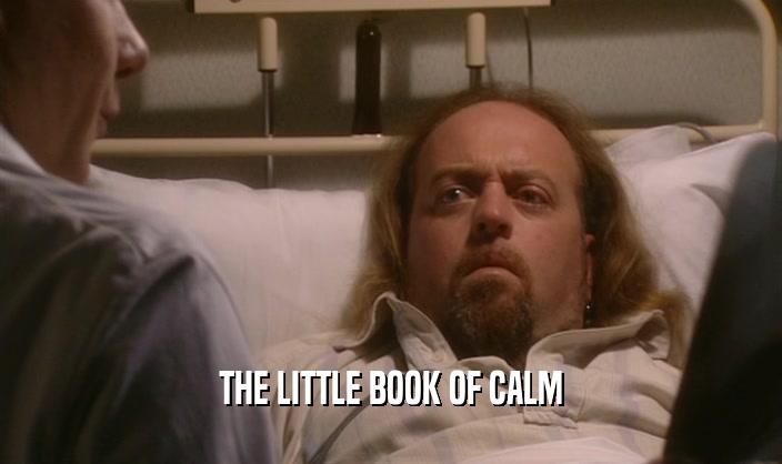 THE LITTLE BOOK OF CALM
  