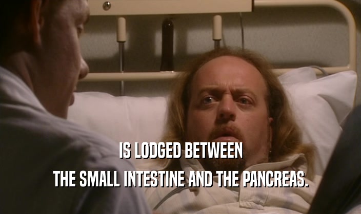 IS LODGED BETWEEN THE SMALL INTESTINE AND THE PANCREAS. 