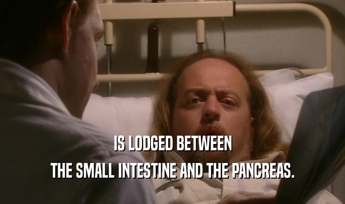 IS LODGED BETWEEN
 THE SMALL INTESTINE AND THE PANCREAS.
 