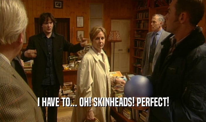 I HAVE TO... OH! SKINHEADS! PERFECT!  
