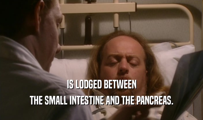 IS LODGED BETWEEN
 THE SMALL INTESTINE AND THE PANCREAS.
 