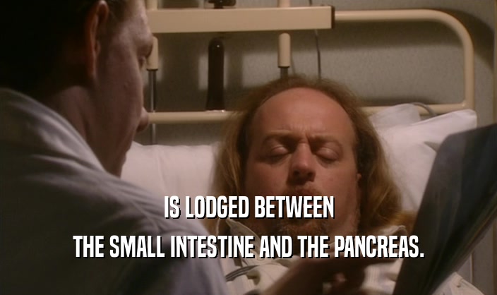 IS LODGED BETWEEN THE SMALL INTESTINE AND THE PANCREAS. 