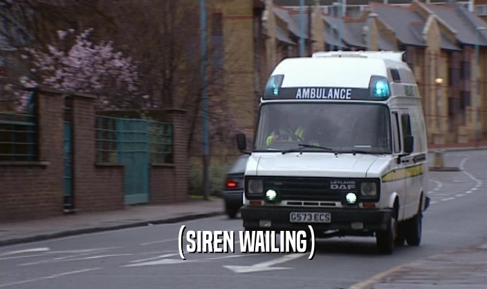 (SIREN WAILING)  