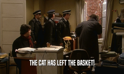 THE CAT HAS LEFT THE BASKET!
  