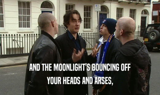 AND THE MOONLIGHT'S BOUNCING OFF YOUR HEADS AND ARSES, 