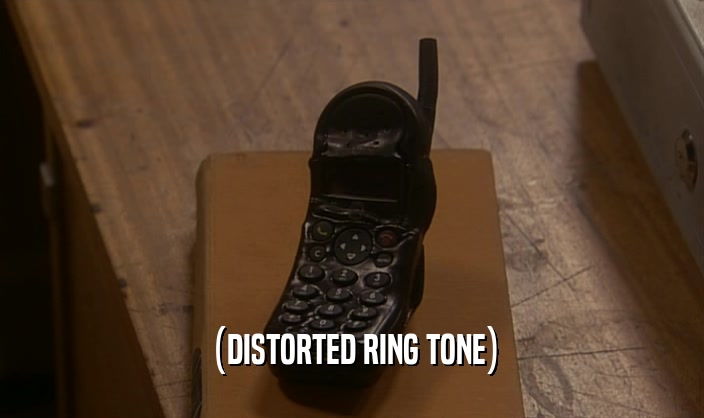(DISTORTED RING TONE)  