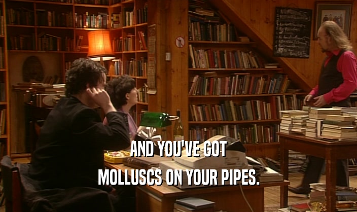 AND YOU'VE GOT
 MOLLUSCS ON YOUR PIPES.
 