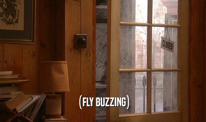 (FLY BUZZING)  