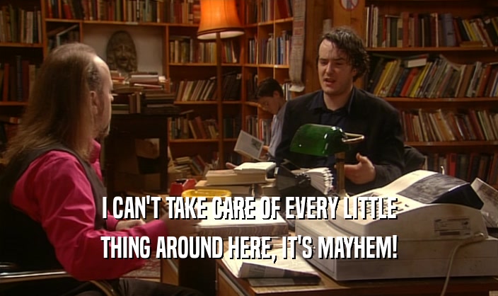I CAN'T TAKE CARE OF EVERY LITTLE THING AROUND HERE, IT'S MAYHEM! 