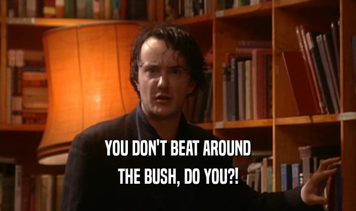 YOU DON'T BEAT AROUND THE BUSH, DO YOU?! 