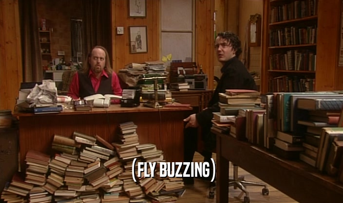 (FLY BUZZING)  