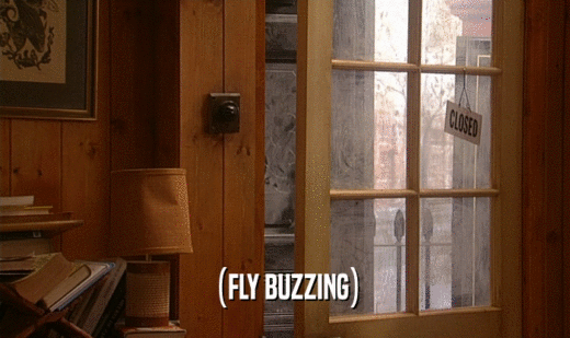 (FLY BUZZING)  