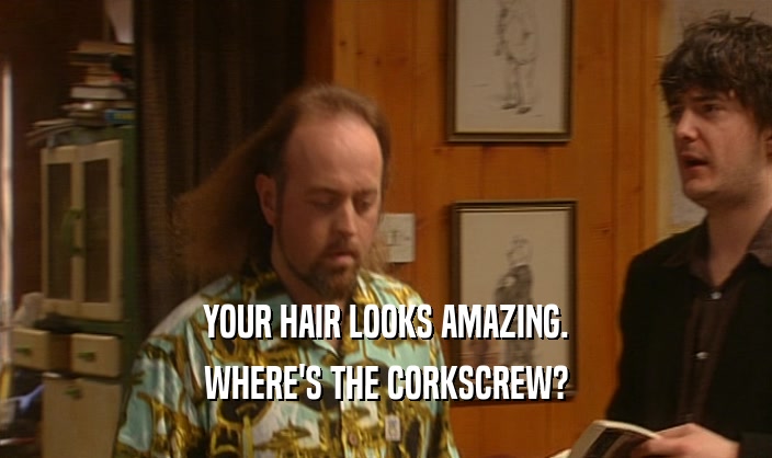 YOUR HAIR LOOKS AMAZING. WHERE'S THE CORKSCREW? 