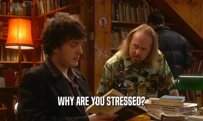 WHY ARE YOU STRESSED?  