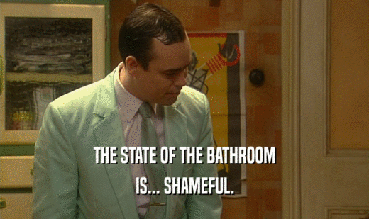 THE STATE OF THE BATHROOM IS... SHAMEFUL. 