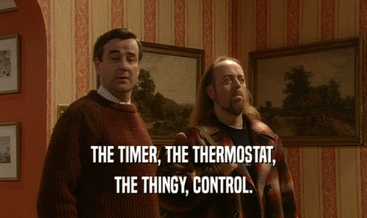 THE TIMER, THE THERMOSTAT,
 THE THINGY, CONTROL.
 