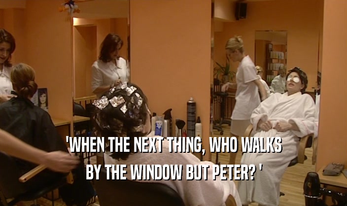 'WHEN THE NEXT THING, WHO WALKS BY THE WINDOW BUT PETER? ' 