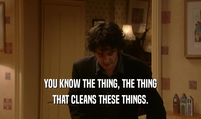 YOU KNOW THE THING, THE THING THAT CLEANS THESE THINGS. 