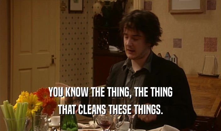 YOU KNOW THE THING, THE THING THAT CLEANS THESE THINGS. 