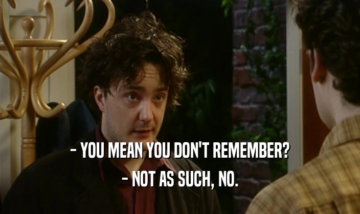 - YOU MEAN YOU DON'T REMEMBER? - NOT AS SUCH, NO. 