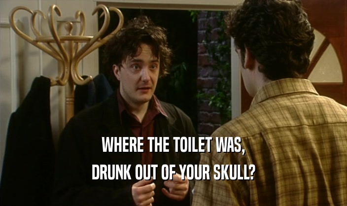 WHERE THE TOILET WAS, DRUNK OUT OF YOUR SKULL? 