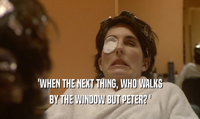 'WHEN THE NEXT THING, WHO WALKS BY THE WINDOW BUT PETER? ' 