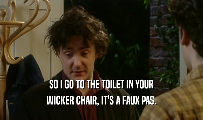 SO I GO TO THE TOILET IN YOUR
 WICKER CHAIR, IT'S A FAUX PAS.
 
