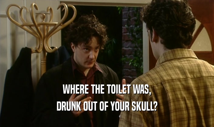 WHERE THE TOILET WAS, DRUNK OUT OF YOUR SKULL? 