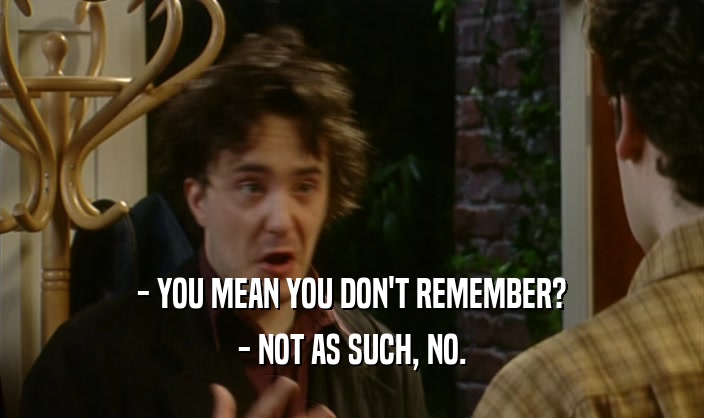 - YOU MEAN YOU DON'T REMEMBER? - NOT AS SUCH, NO. 
