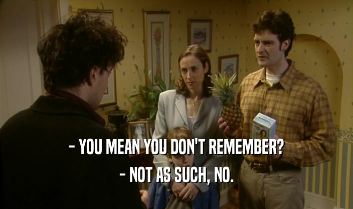 - YOU MEAN YOU DON'T REMEMBER? - NOT AS SUCH, NO. 