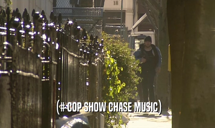 (# COP SHOW CHASE MUSIC)
  