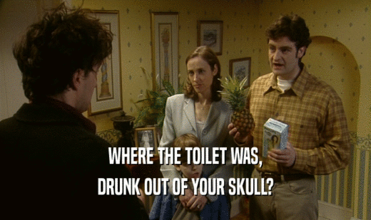 WHERE THE TOILET WAS, DRUNK OUT OF YOUR SKULL? 