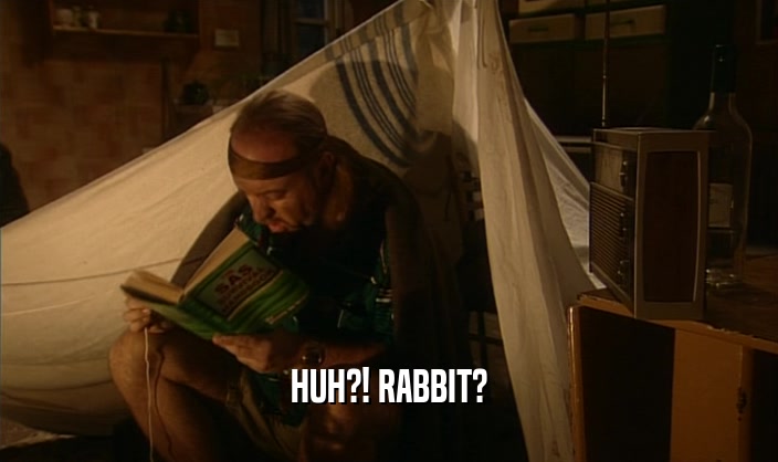 HUH?! RABBIT?  