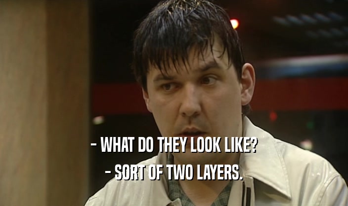 - WHAT DO THEY LOOK LIKE? - SORT OF TWO LAYERS. 
