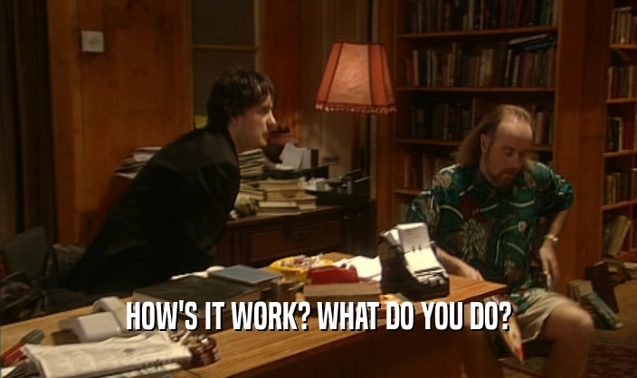 HOW'S IT WORK? WHAT DO YOU DO?  