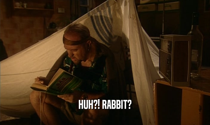 HUH?! RABBIT?  