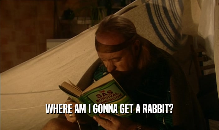WHERE AM I GONNA GET A RABBIT?  