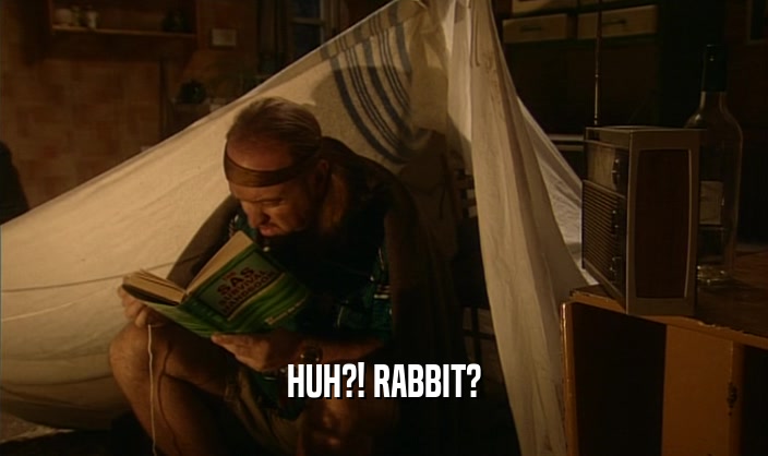 HUH?! RABBIT?  