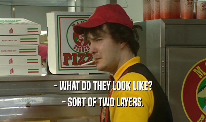 - WHAT DO THEY LOOK LIKE? - SORT OF TWO LAYERS. 