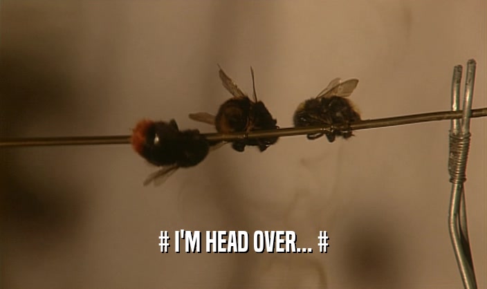 # I'M HEAD OVER... #  