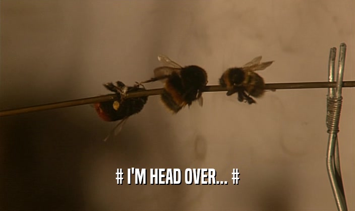 # I'M HEAD OVER... #  