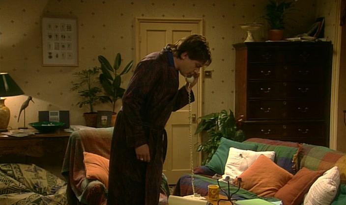 (FRAN) 'DON'T HANG UP, HOWELL! '  
