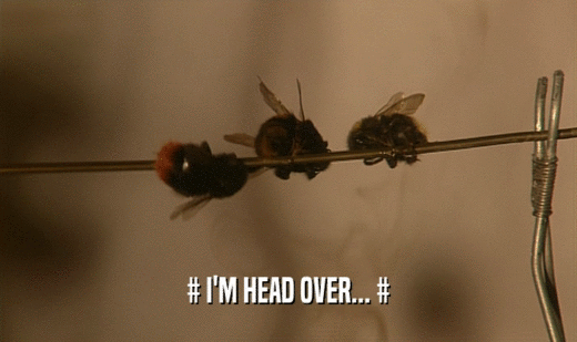 # I'M HEAD OVER... #  