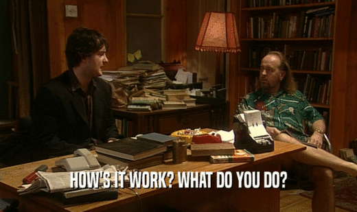 HOW'S IT WORK? WHAT DO YOU DO?  
