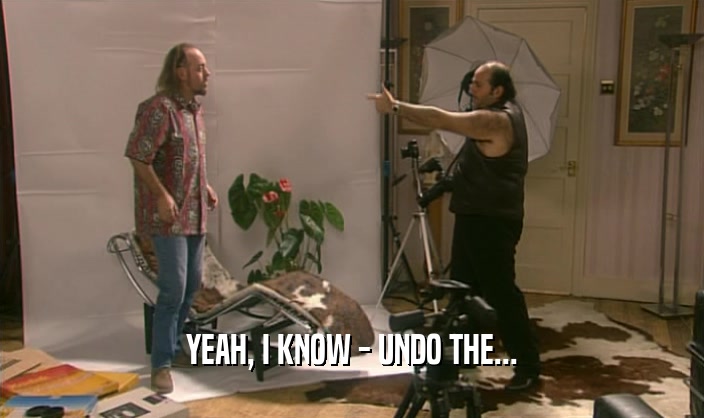 YEAH, I KNOW - UNDO THE...  