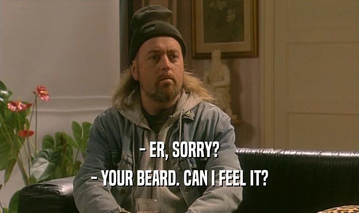 - ER, SORRY? - YOUR BEARD. CAN I FEEL IT? 