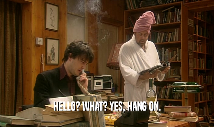 HELLO? WHAT? YES, HANG ON.  